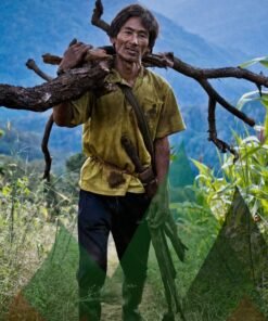 Thailand Mountain Trail Hikking Trails, Trekking Trips, & Running Tours Thailand Header S103 1