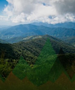 Thailand Mountain Trail Hikking Trails, Trekking Trips, & Running Tours Thailand Header S126