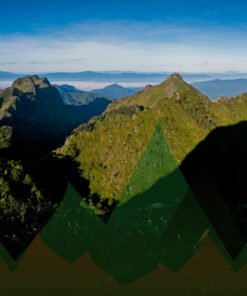Thailand Mountain Trail Hikking Trails, Trekking Trips, & Running Tours Thailand Header S16