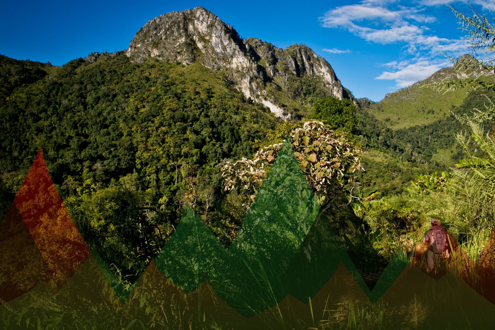 Thailand Mountain Trail Hikking Trails, Trekking Trips, & Running Tours Thailand Header S37