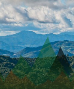 Thailand Mountain Trail Hikking Trails, Trekking Trips, & Running Tours Thailand Header S6 Pano