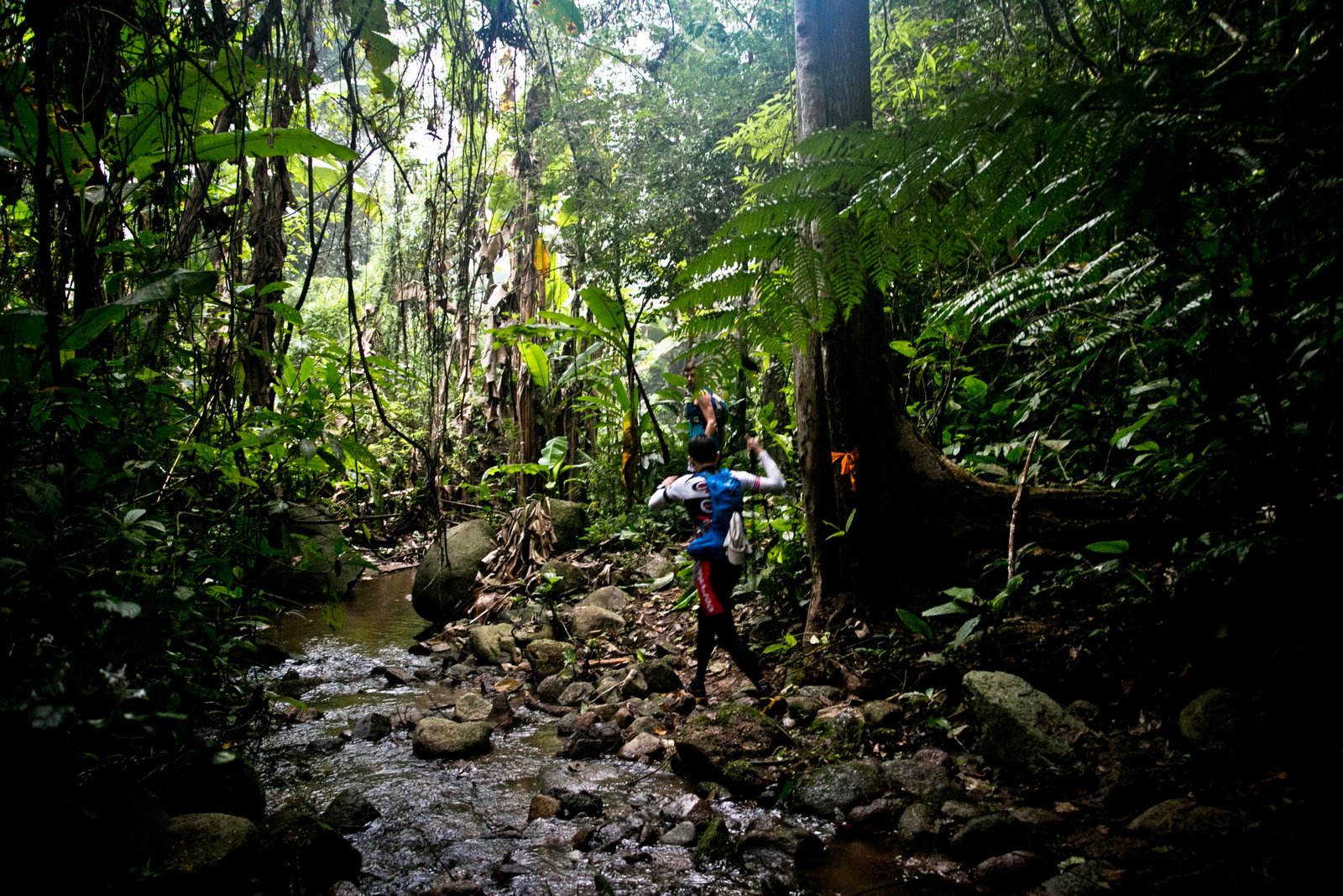 Thailand Mountain Trail Hikking Trails, Trekking Trips, & Running Tours Thailand 4. S246
