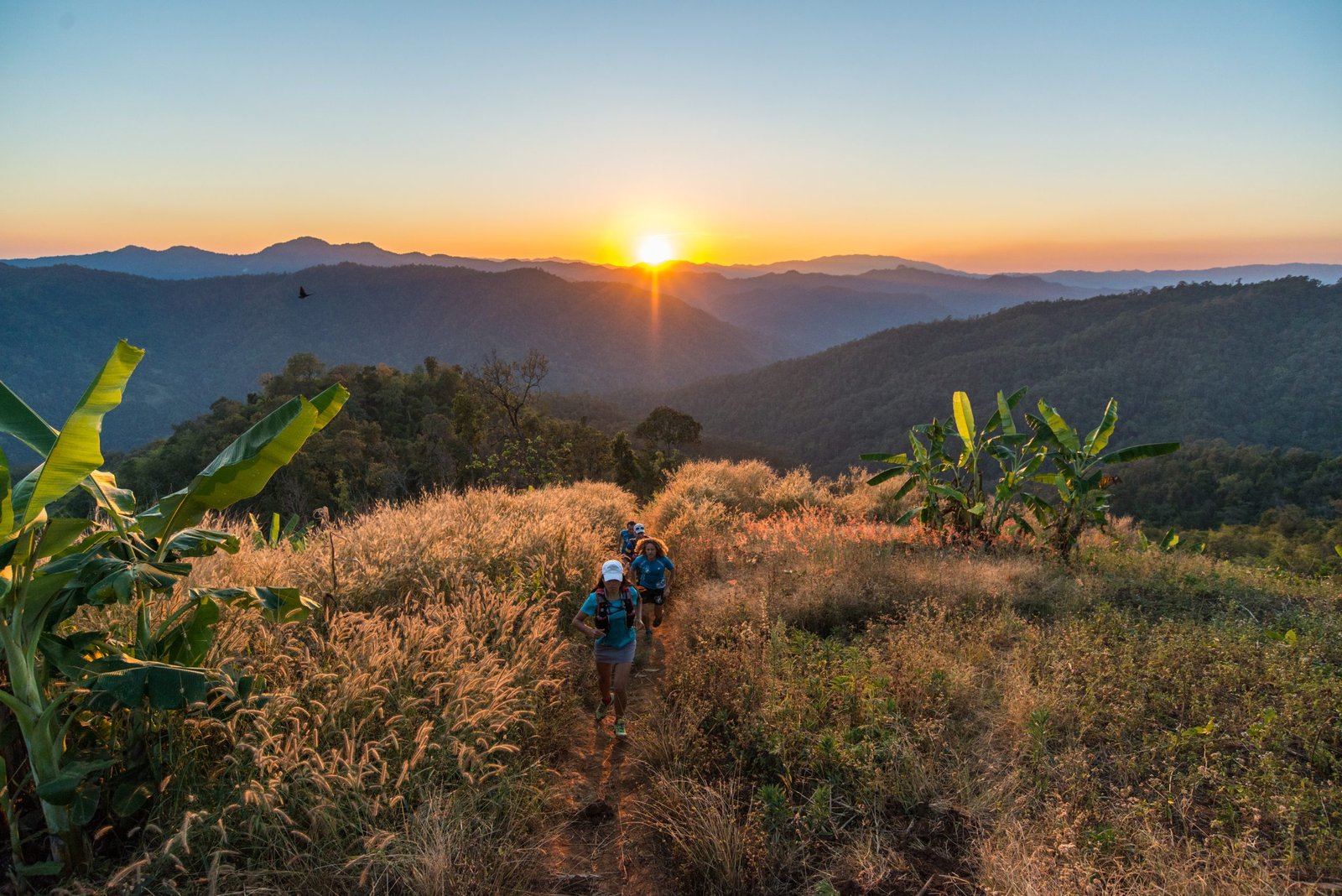 Thailand Mountain Trail Hikking Trails, Trekking Trips, & Running Tours Thailand 4. Sek 4740