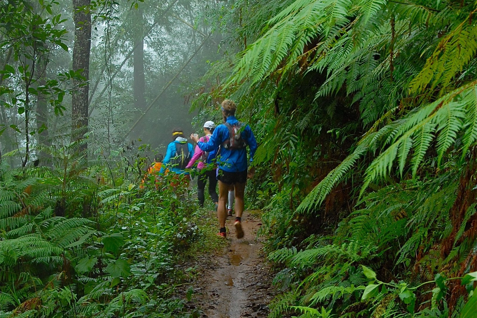 Thailand Mountain Trail Hikking Trails, Trekking Trips, & Running Tours Thailand 9. A3 Jungle Ls