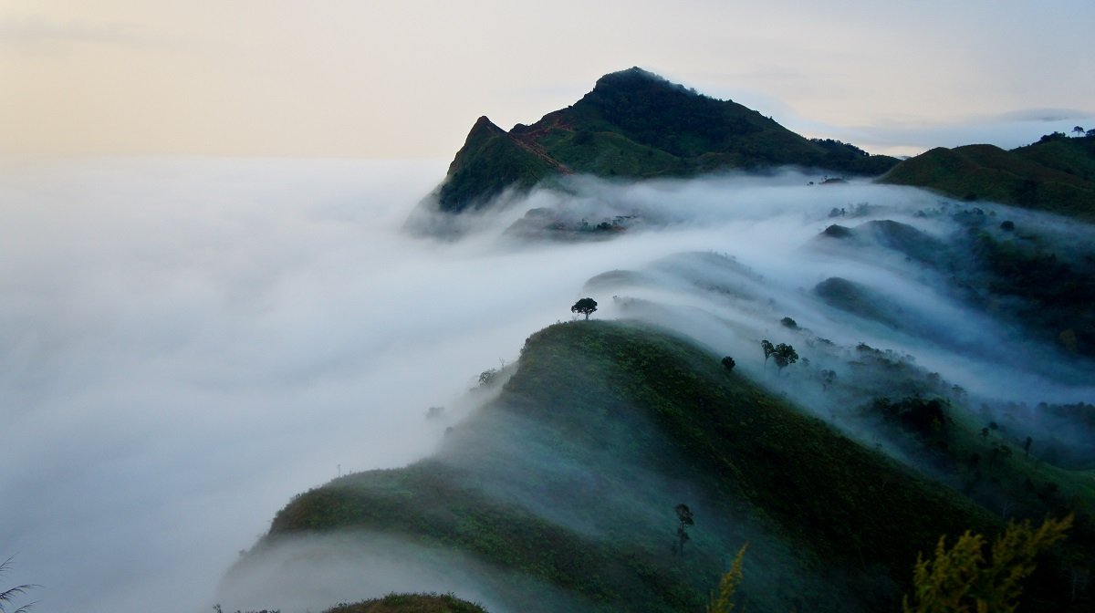 Thailand Mountain Trail Hikking Trails, Trekking Trips, & Running Tours Thailand The,mist,moves,through,the,mountains,,doi,pha,tang,,chiang