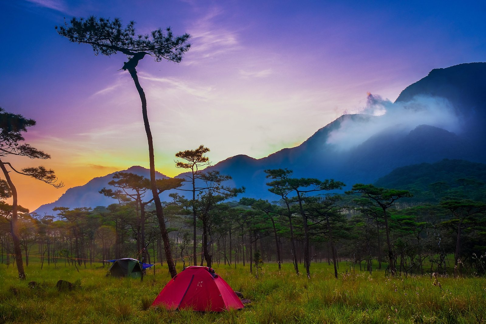 Thailand Mountain Trail Hikking Trails, Trekking Trips, & Running Tours Thailand A,camping,ground,for,the,sunrise,in,the,forest,at