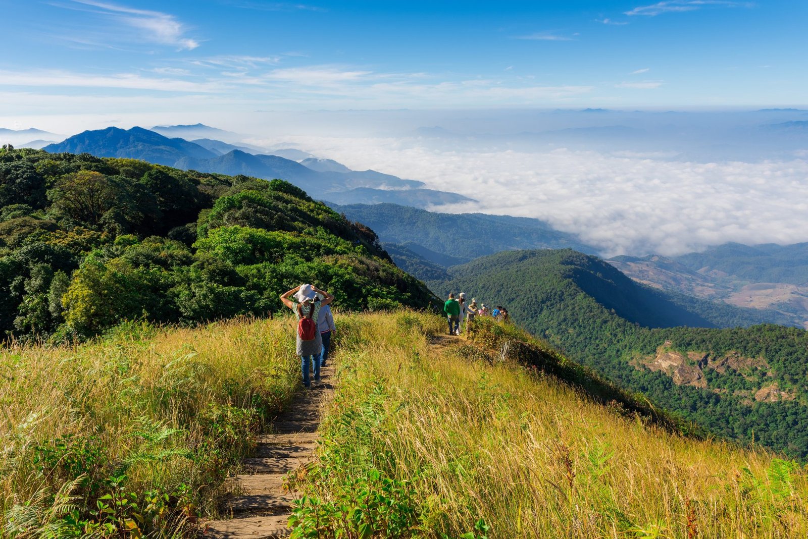 Thailand Mountain Trail Hikking Trails, Trekking Trips, & Running Tours Thailand Rando Cm 13 Int Compress